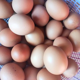 ไข่ต้ม  3  ฟอง