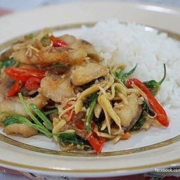 ปลาผัดขึ้นฉ่ายราดข้าว
