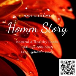 HommStory