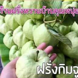 ร้านผลไม้บ้านคุณหนุ่ย อาคาร รสา ทรู