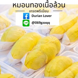 ทุเรียนหมอนทอง น้ำหนักรวม 1.5 กิโลกรัม เกรดพรีเมี่ยม