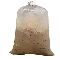 Cocoa (Paper Bag)