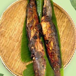 ปลาดุกย่าง