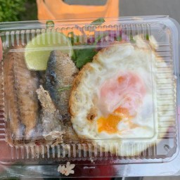 จะรับอะไรดีคะ อาหารจานด่วน&ไก่ต้มน้ำปลา ใช้ข้าวหอมมะลิ