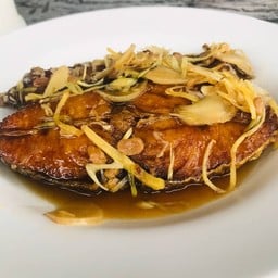 ปลามงชิ้น เจี่ยนตะไคร้