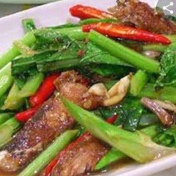 คะน้าปลาเค็ม