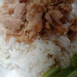 ข้าวราดทอดกระเทียม