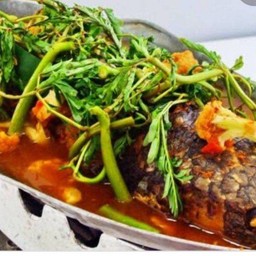 แปะซะปลาช่อน