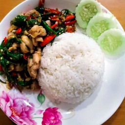 ข้าวกะเพราไก่