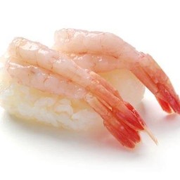 ซูชิกุ้ง (ราคาต่อคำ)