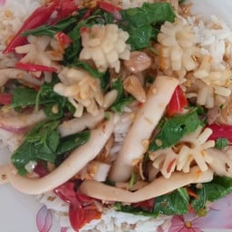 ตามสั่ง กะเพราพริกแห้ง ครัวเจ้ม่วย