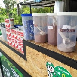ใบปอกาแฟโบราณ