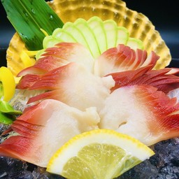 No.61 หอยปีกนก