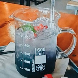 บลูเบอร์รี่ โซดา