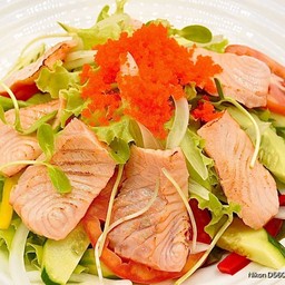 No.162 สลัดแซลมอนย่าง