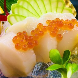 No.62 หอยเชลล์