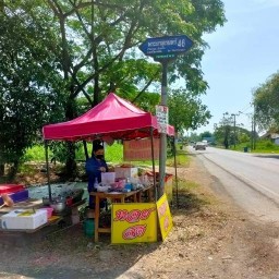 รุ่งเรืองหอยแมลงภู่