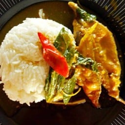 ราดแกง 1 อย่าง