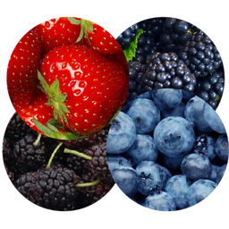 MENU_1300036ll_1649406335