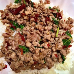 ผัดกระเพราหมูสับราดข้าว