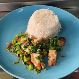 ข้าวกระเพราหมูกรอบ
