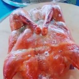 กุ้งย่าง (โต้รุ่ง)