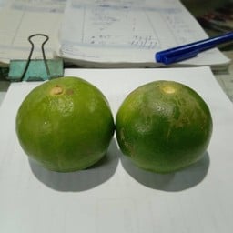 มะนาว  ลูก