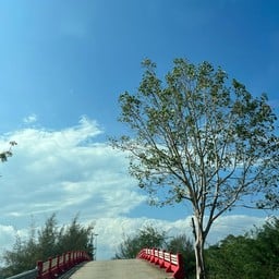 วนอุทยานเขาตาม่องล่าย