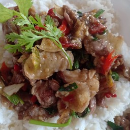 ผัดจังโก้ราดข้าว