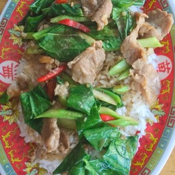 คะน้าน้ำมันหอย