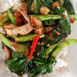 ผัดคะน้า