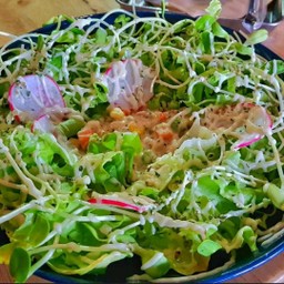 สลัดทูน่า