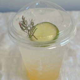 Honey lemon soda
