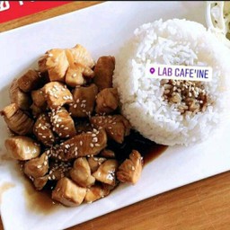 ข้าวเทอริยากิ