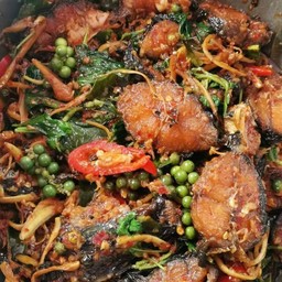 ผัดฉ่าปลาดุกทอดราดข้าว