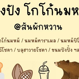ปังปัง โกโก้นมหมี (สันผักหวาน)