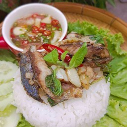 ข้าว+ปลาทูจ๋าผัดกะเพรามาแล้ว