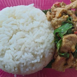 ข้าวราดผัดกะเพราหมูชิ้น