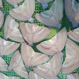 ป.ปลาแดดเดียวทอด