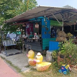 ชาไข่มุกถัง