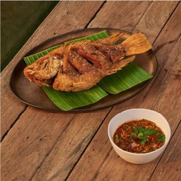 ปลาทับทิมน้ำตก