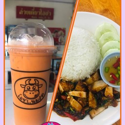 กะเพราหมูกรอบ+ชาเย็นนมสด ลดพิเศษ
