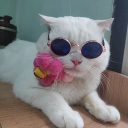 ของหวานรวมมิตร