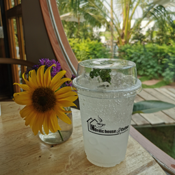 ลิ้นจี่เย็น