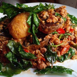 ไข่ๅเยี่ยวม้ากระเพรากรอบราดข้าว