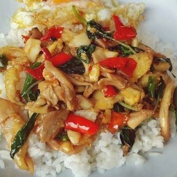 ข้าวกระเพราไก่ต้ม