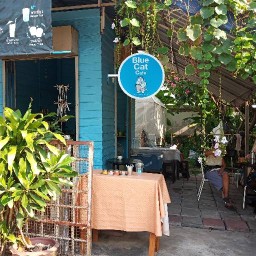 Blue Cat Cafe