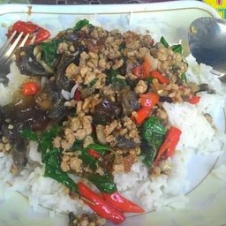 ผัดกระเพราไข่เยี่ยวม้าราดข้าว