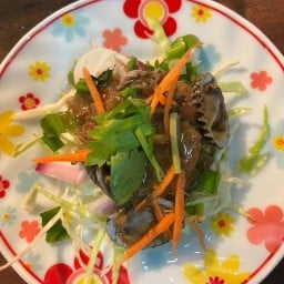 ครัวบ้านแมว