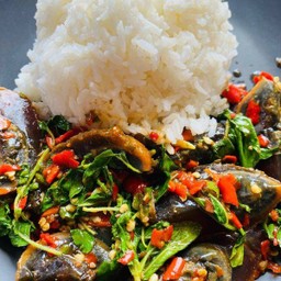 ข้าวกะเพรา ไข่เยี่ยวม้า ไร้เนื้อสัตว์ 2 ฟอง